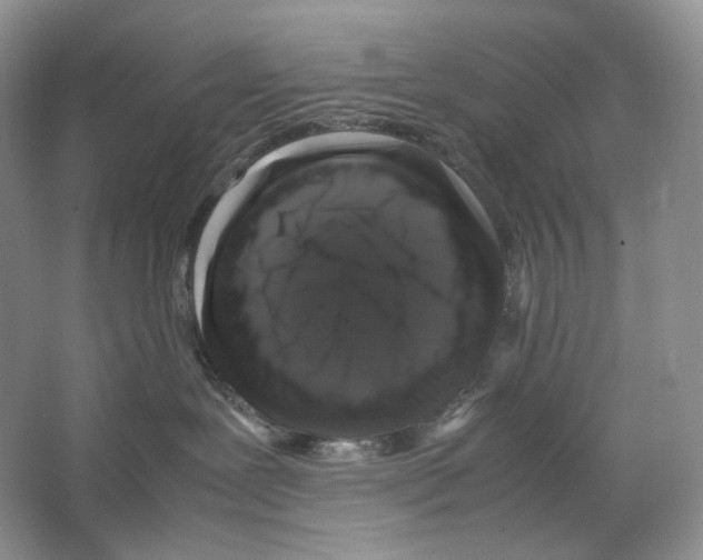 X0000063440239200602171839