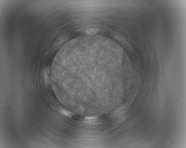 X0000063440240200602171839