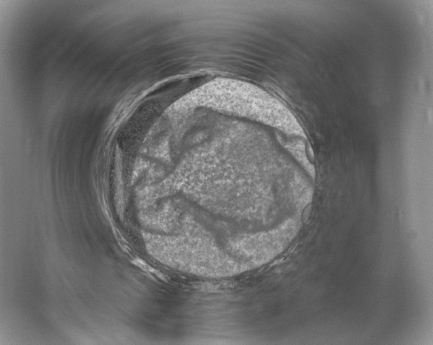 X0000063440241200602171838