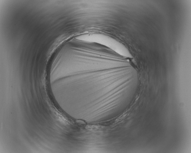 X0000063440242200602171838