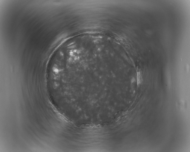 X0000063440243200602171838