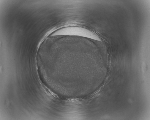X0000063440244200602171838