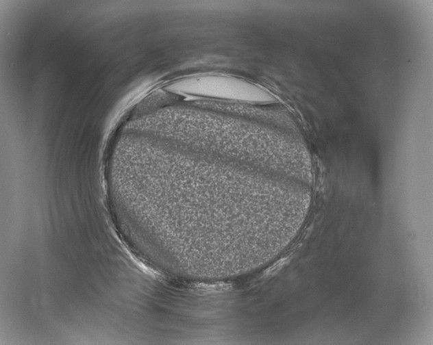 X0000063440245200602171838