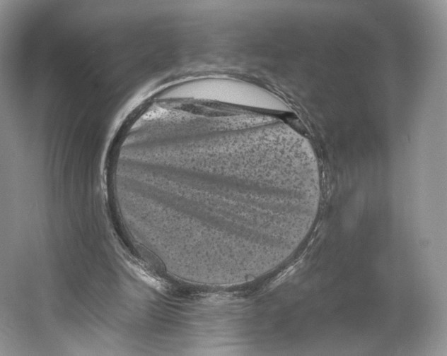 X0000063440246200602171838