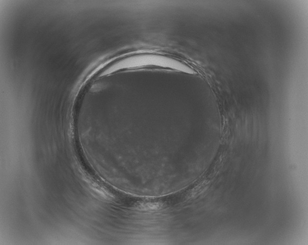 X0000063440247200602171838