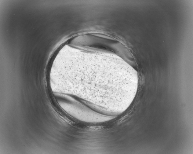 X0000063440248200602171838
