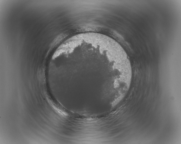 X0000063440250200602171838