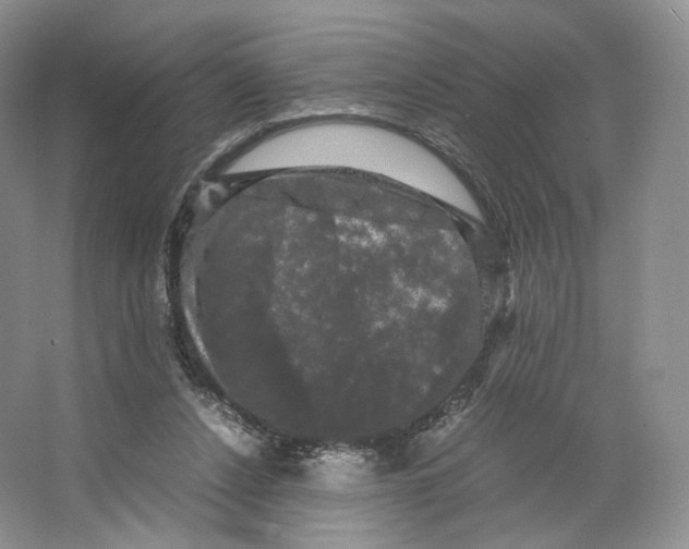 X0000063440256200602171838