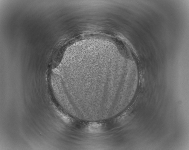 X0000063440257200602171838