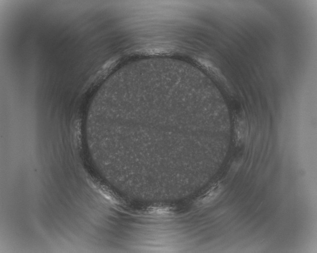 X0000063440260200602171838