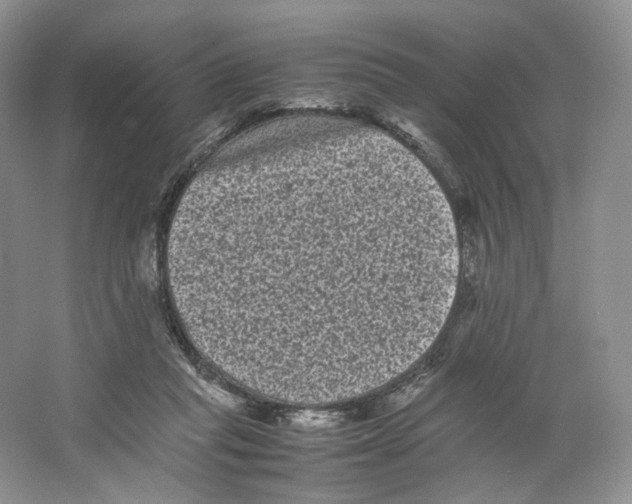 X0000063440261200602171838