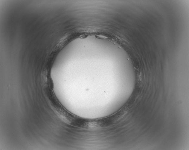 X0000063440264200602171838