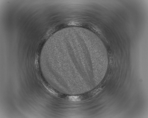 X0000063440265200602171838