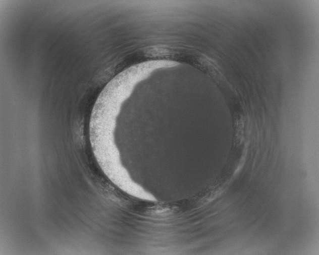 X0000063440267200602171838