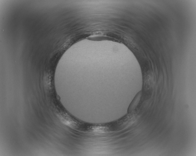 X0000063440268200602171838