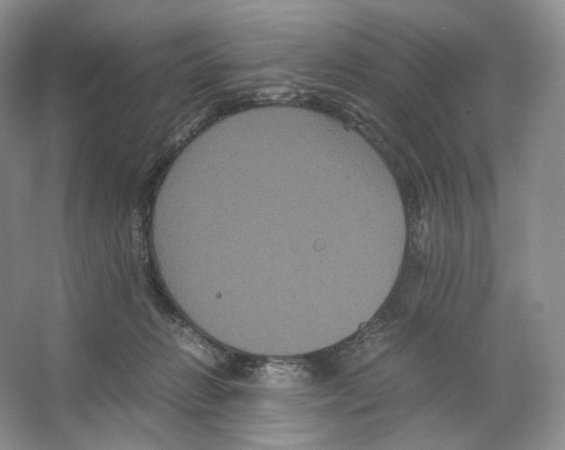 X0000063440270200602171838