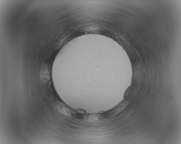 X0000063440282200602171839