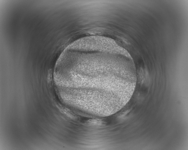 X0000063440284200602171839