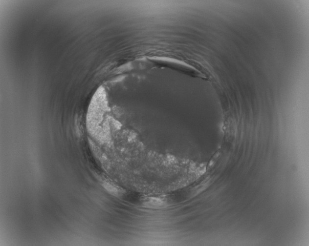 X0000063440285200602171839