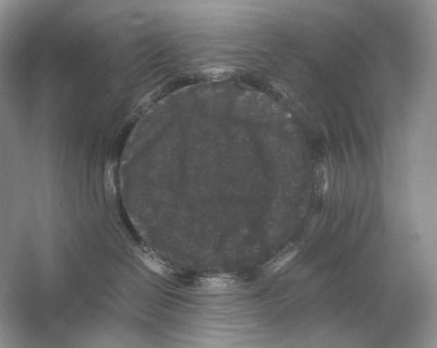 X0000063440286200602171839