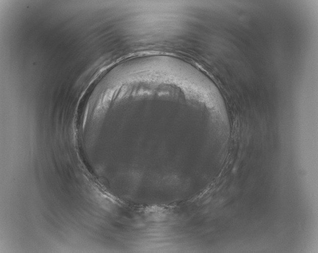 X0000063440290200602171838