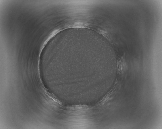 X0000063440292200602171838