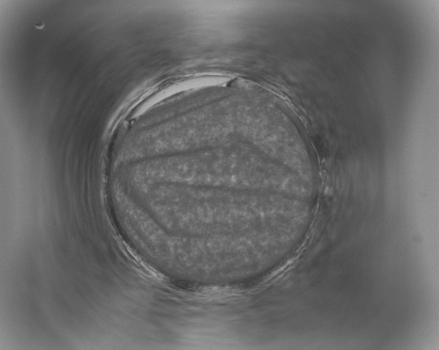 X0000063440293200602171838