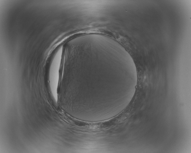 X0000063440295200602171838