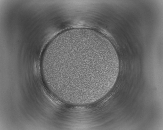 X0000063440298200602171838