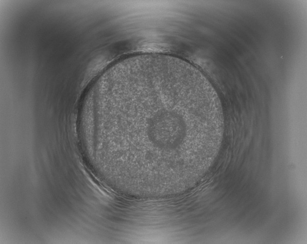 X0000063440299200602171838