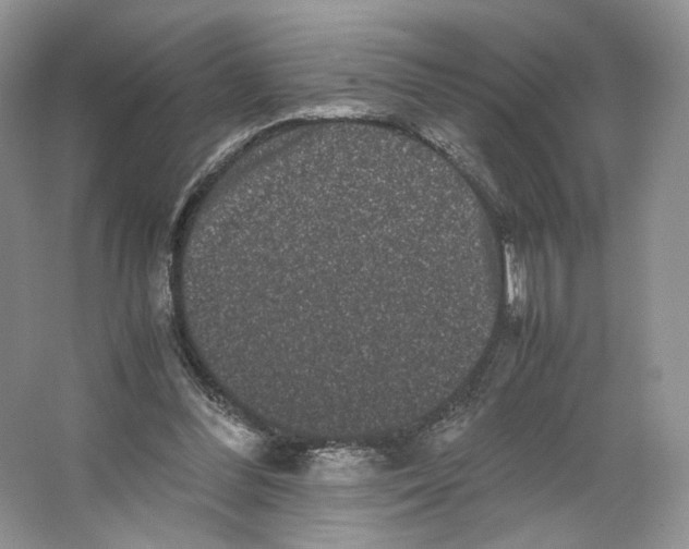 X0000063440300200602171838
