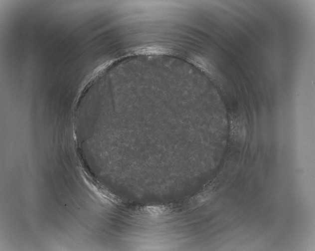 X0000063440302200602171838