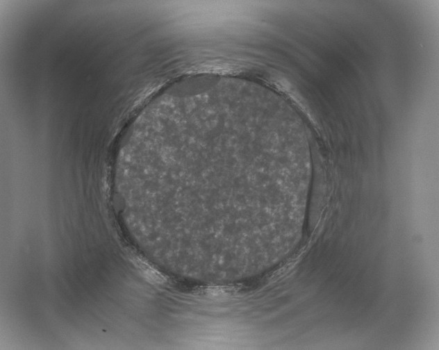 X0000063440305200602171838