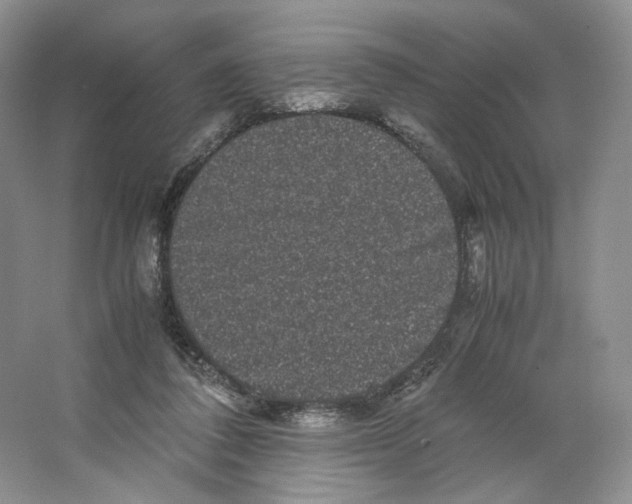 X0000063440308200602171838