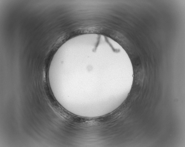 X0000063440310200602171837