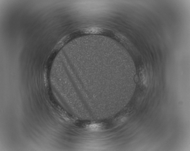 X0000063440312200602171837