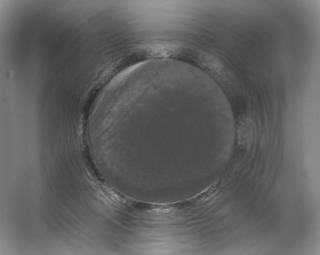 X0000063440314200602171837