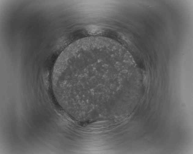 X0000063440319200602171837