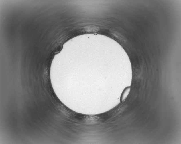 X0000063440321200602171837