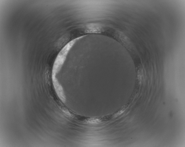 X0000063440322200602171837