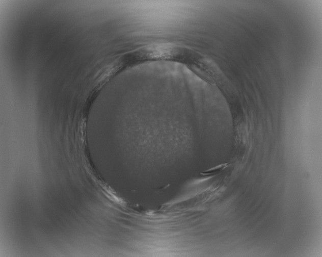 X0000063440325200602171837