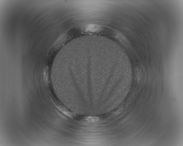 X0000063440328200602171837