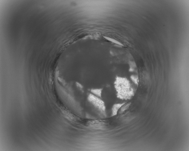 X0000063440331200602171837