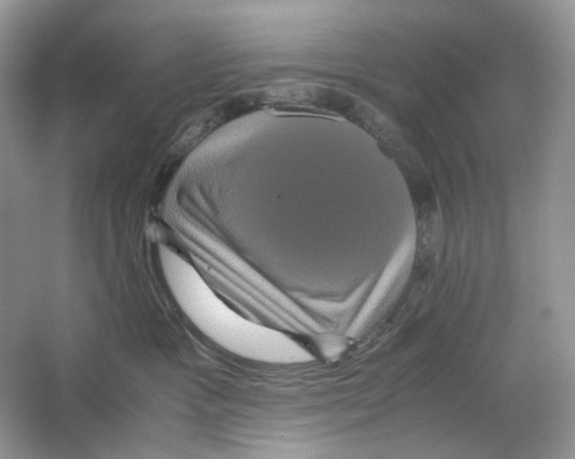 X0000063440333200602171837