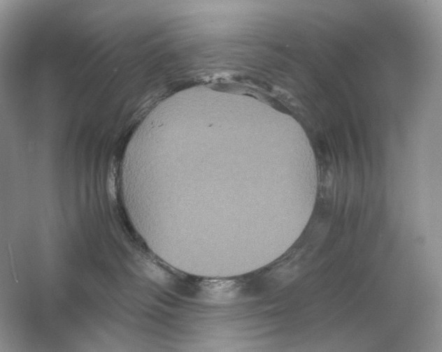X0000063440334200602171837