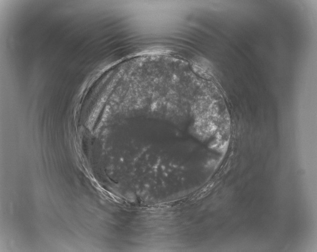 X0000063440337200602171836