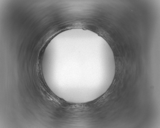 X0000063440338200602171836