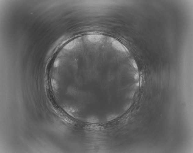 X0000063440339200602171836
