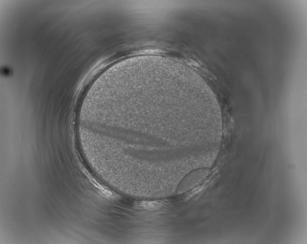 X0000063440341200602171836
