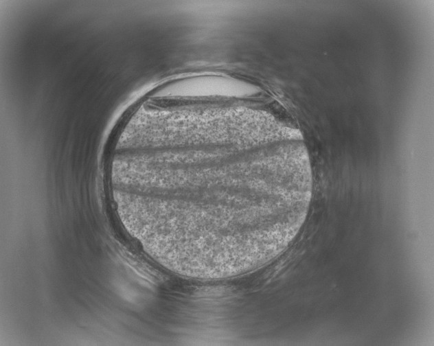 X0000063440342200602171836
